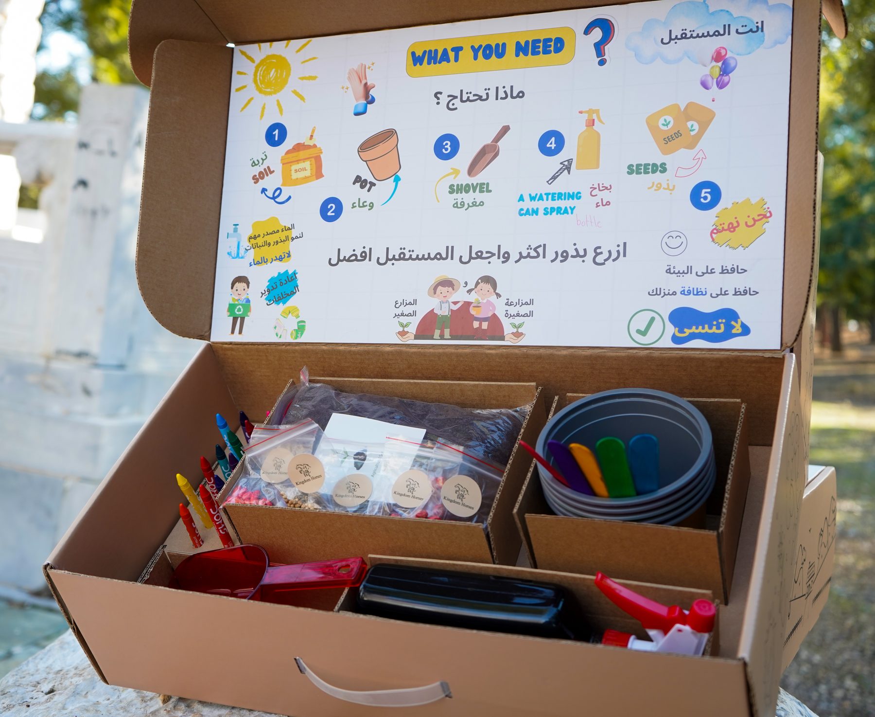 Box contents