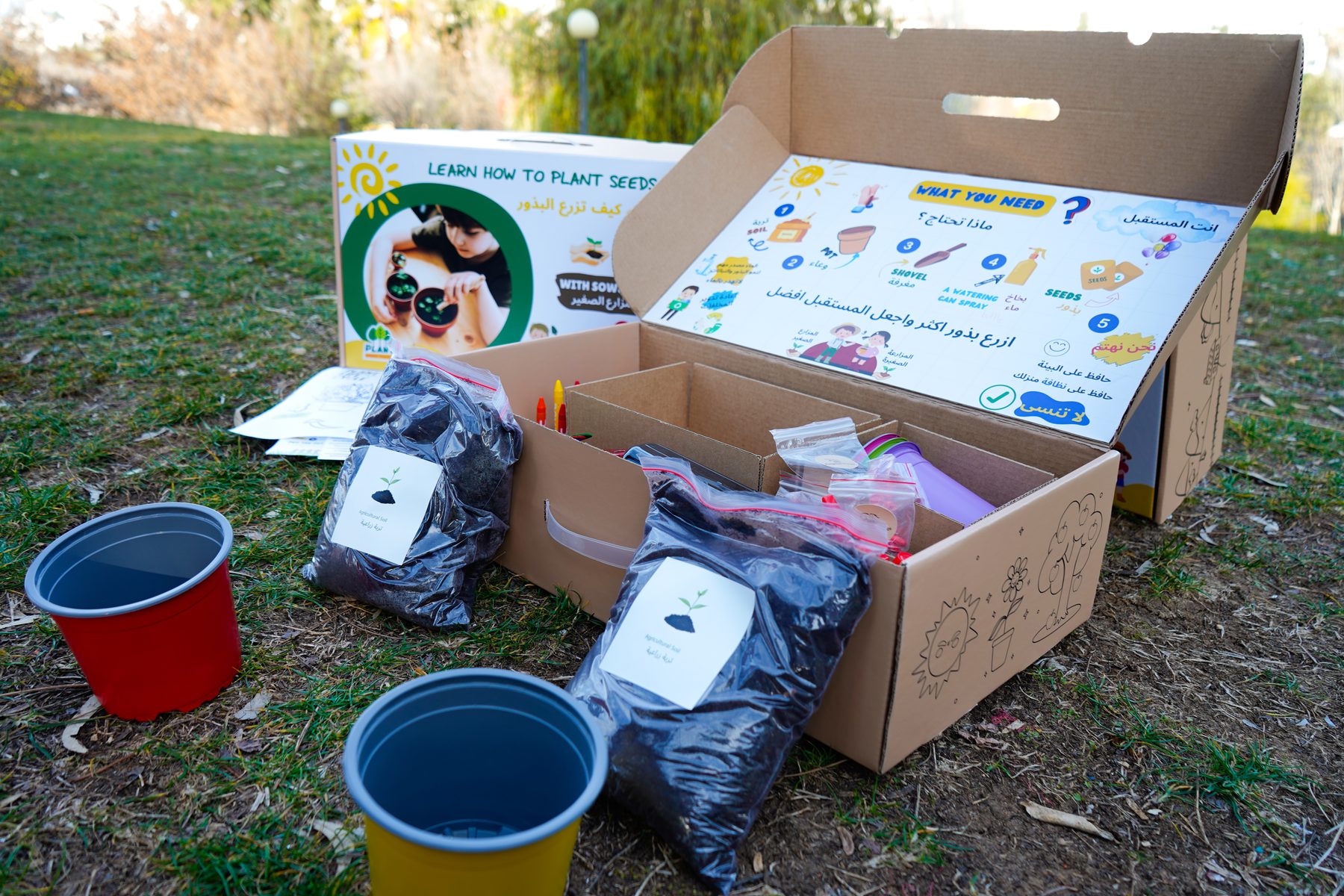 Sow and Grow Box detail