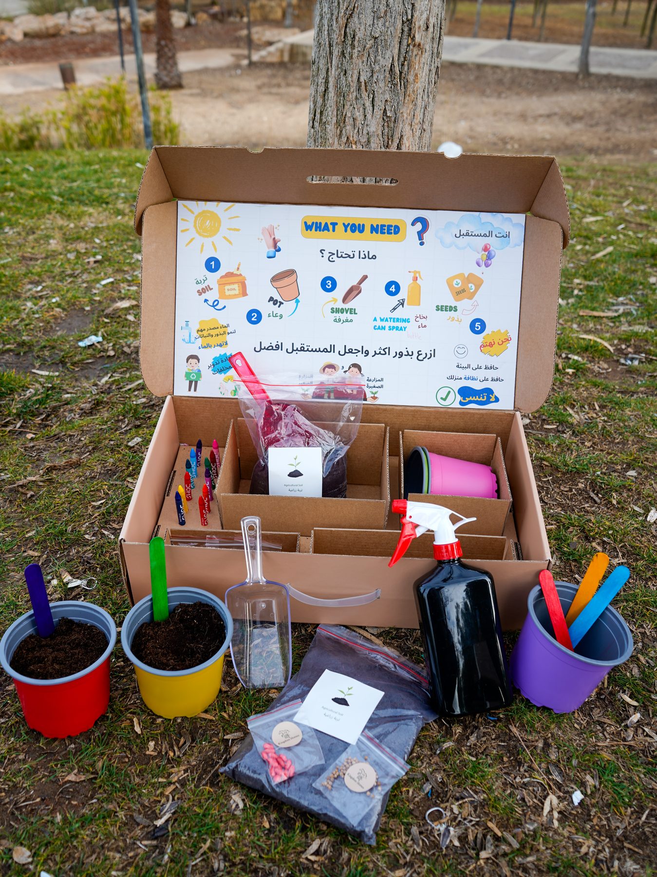 Open box