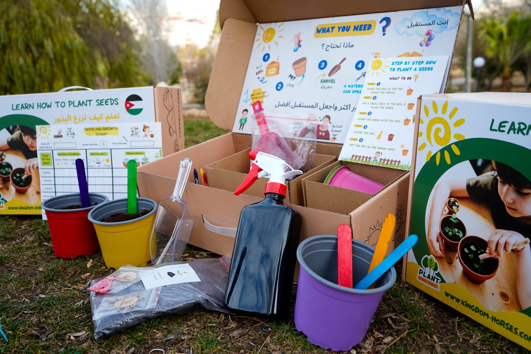 Box contents arranged